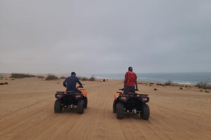 Dunes Quad or Buggy Tour In Agadir