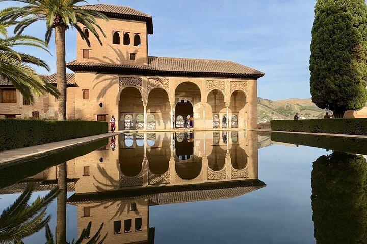 Madrid: Visite privée Découvrez Grenade et l'Alhambra