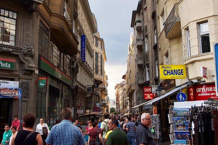 Hungarian language orientation and a 2-hour introductory class