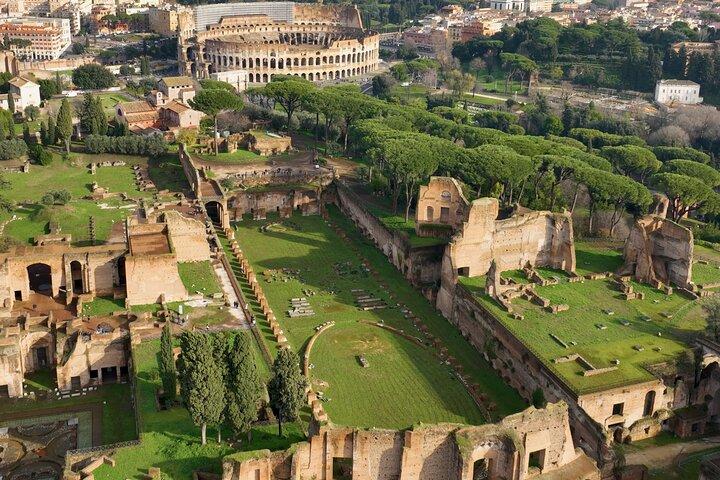 Colisée, Colline Palatine et Forum Romain avec Audio Guide App