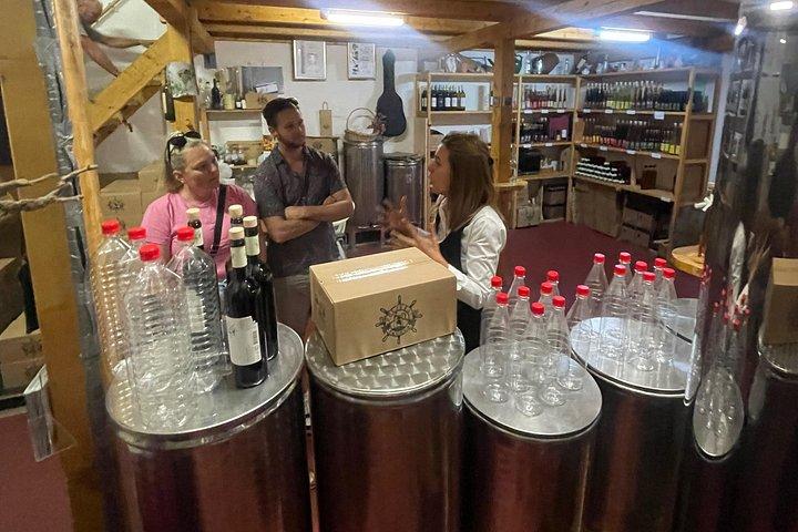 Pelješac - ドゥブロヴニクのワイン、カキ、料理体験