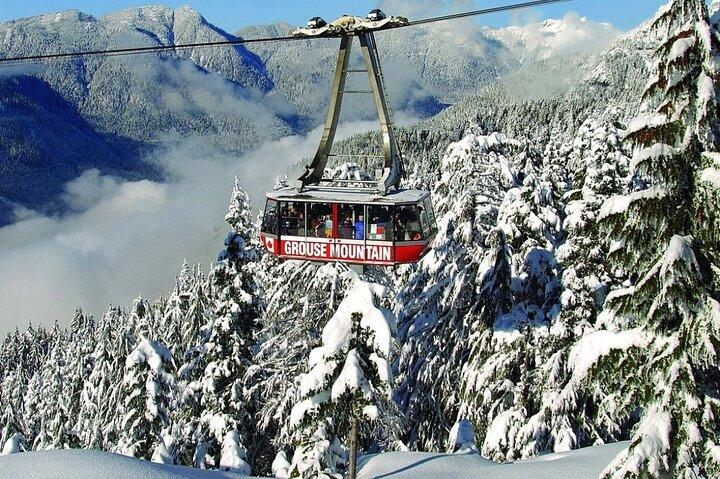 4 ore Tour privato della città di Vancouver.