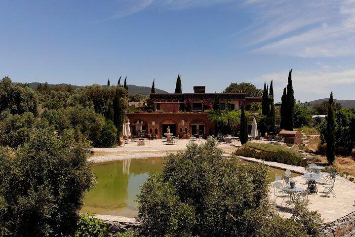 Food and Wine pairing Dinner at Karnas Vineyards Bodrum