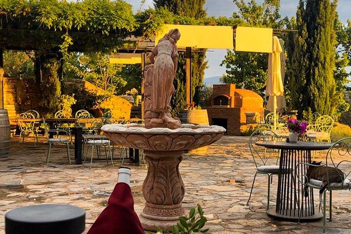 食事とワインのペアリングKarnas Vineyards Bodrumでのディナー
