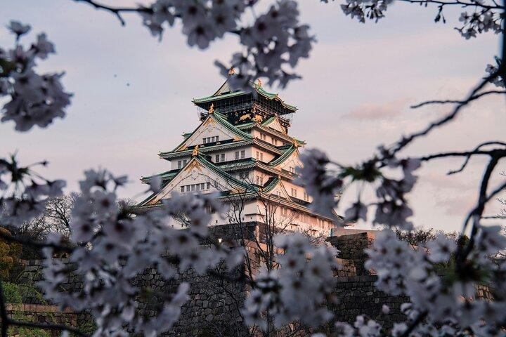 Visite privée de la ville d'Osaka Cherry Blossom