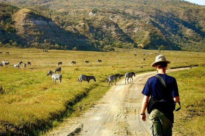 Visite guidée d'une journée Safari des parcs Lac Naivasha et Hells Gate