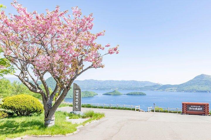 北海道 : 洞爺湖とクマ牧場と札幌小樽全日ツアー