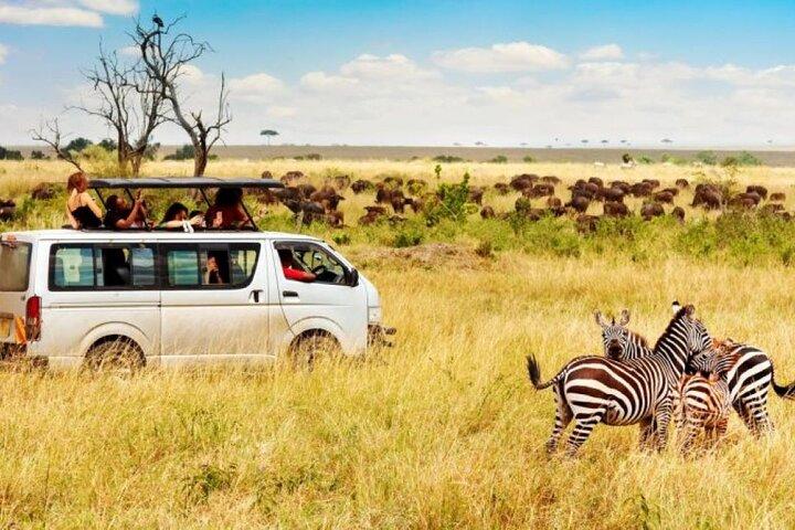 Safari en petit groupe Maasai Mara de 3 jours en jeep 4 x 4 Land Cruiser