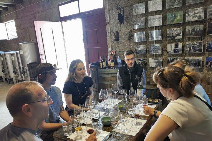 Duero y Vinho Verde: Tour privado de bodegas familiares en Portugal