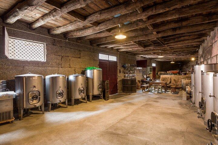 Duero y Vinho Verde: Tour privado de bodegas familiares en Portugal