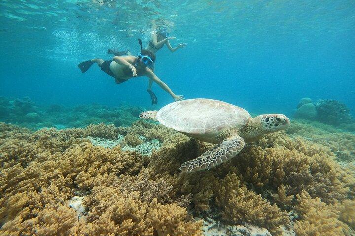 Snorkling trip 3 gili (terawangan, meno, ar)