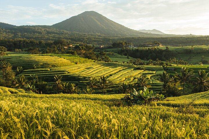 Bali Tanah Lot, Jatiluwih Rice Terraces y Ulun Danu Beratan