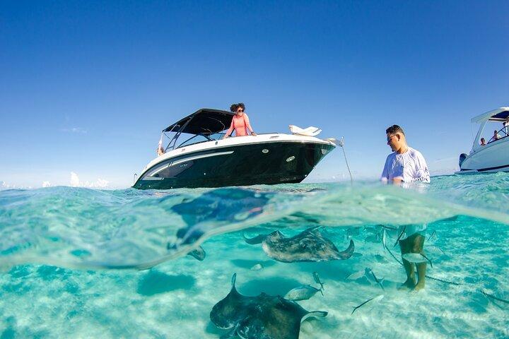 3 timers privat charter på Stingray City med snorkling