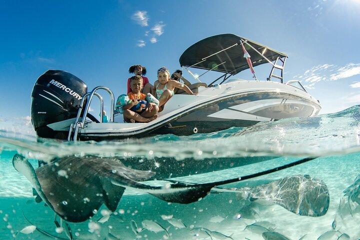 Charte privée de 3 heures sur Stingray City avec plongée en apnée