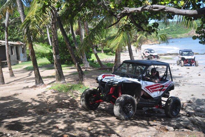 Northern Sights - Buggy en el norte