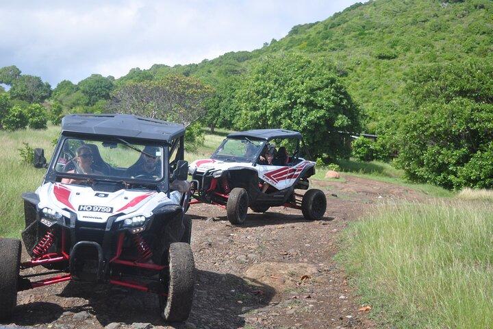 Northern Sights - Buggy en el norte