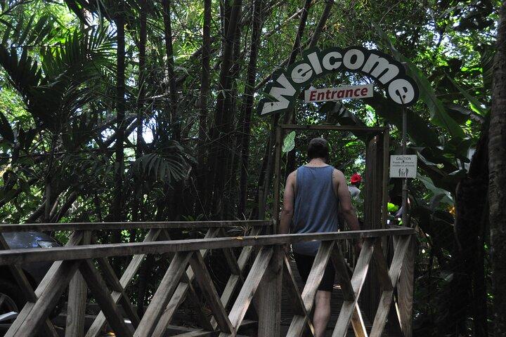 Dirija e Voe - Buggy e Zipline