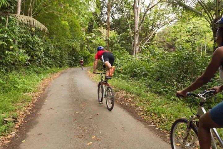 Rainforest Cykling Adventure i St Lucia