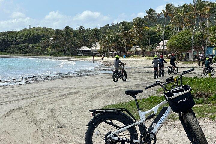 Cap Estate E-Bike Tour