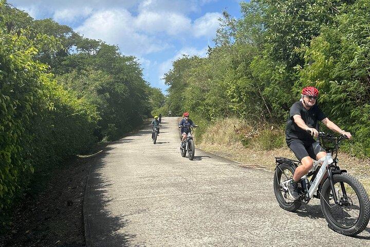 Cap Estate E-Bike Tour
