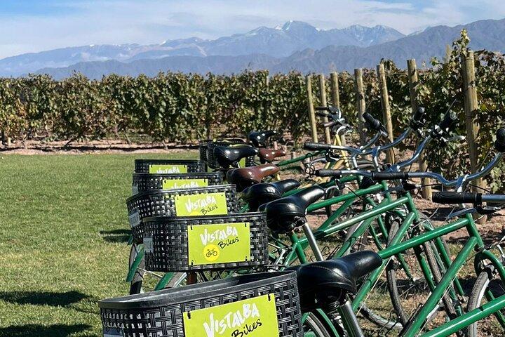 Fahrräder, Reben & edle Weine: Ein entspannter Tag in Luján de Cuyo