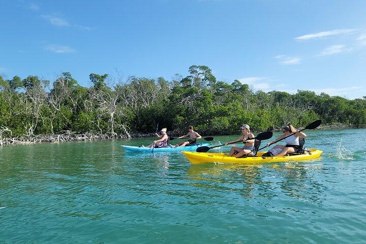 Kayak attraverso le foreste di mangrovie nelle Florida Keys