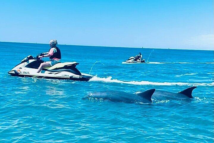 2 Stunden Shell Island Jet Ski Delphin Tour