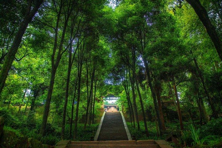 Excursion d'une journée à Dujiangyan et au mont Qingcheng