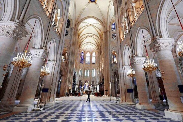 Notre Dame Exterior Visita guiada profissional