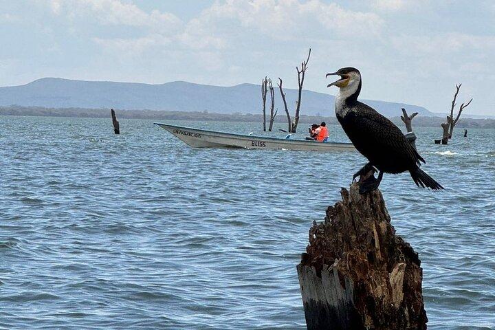 Visite d'une journée du parc Hell's Gate et du lac Naivasha