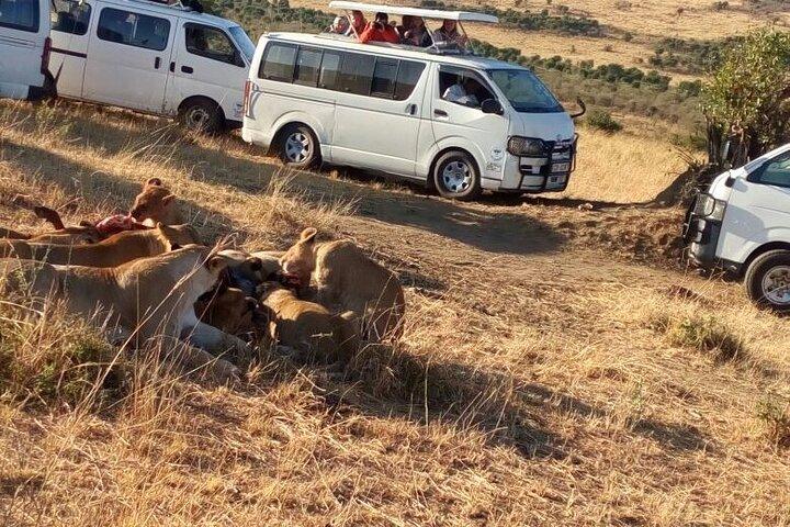 Nairobi National Park Game Drive