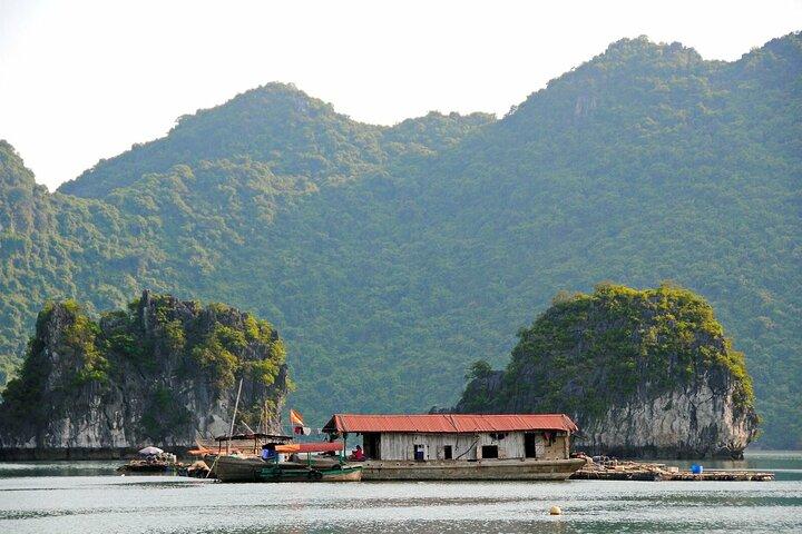 De Hanoi: 2 Jours 1 Nuit Cat Ba National Park, Lan Ha Bay