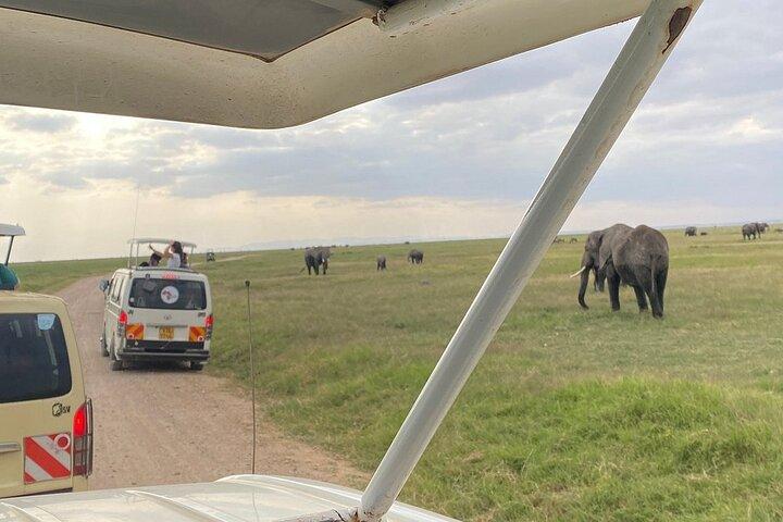 Dagtour naar Amboseli Nationaal Park