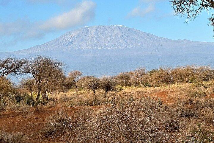 Dagtour naar Amboseli Nationaal Park