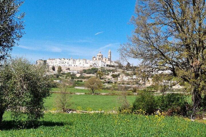 e bike tour Alberobello e Locorotondo andata e ritorno