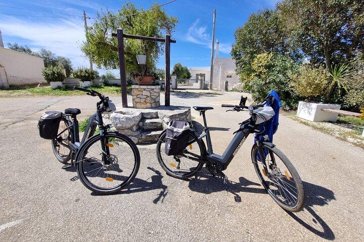 電動自転車ツアー マルティナ フランカとロコロトンド、酪農場訪問