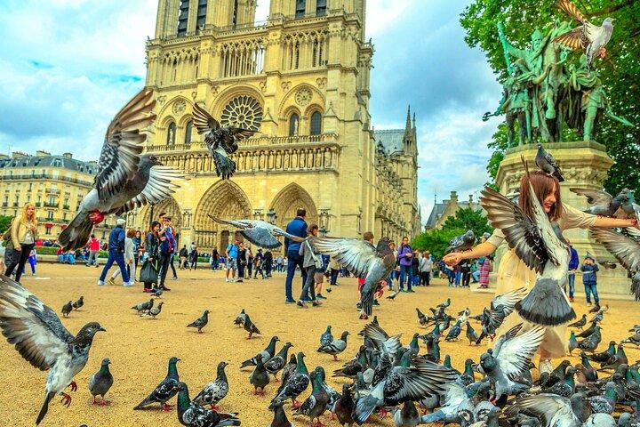 Tour Notre-Dame met audiogids (geen ticket)
