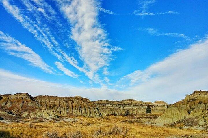 De Calgary: Visite privée au Royal Tyrrell Museum & Drumheller