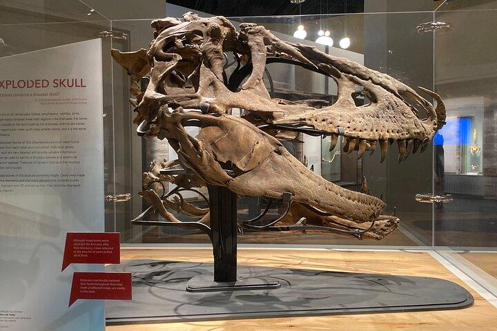 De Calgary: Visite privée au Royal Tyrrell Museum & Drumheller