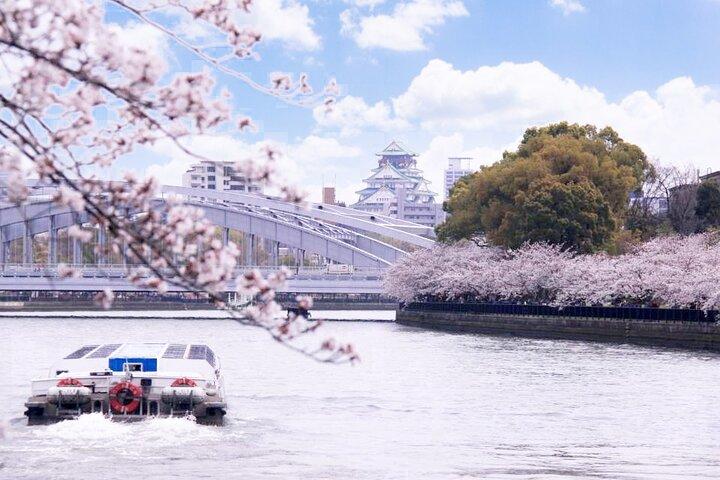 Recorrido a pie por la tarde en Osaka: castillo de Osaka y crucero por el río Osaka