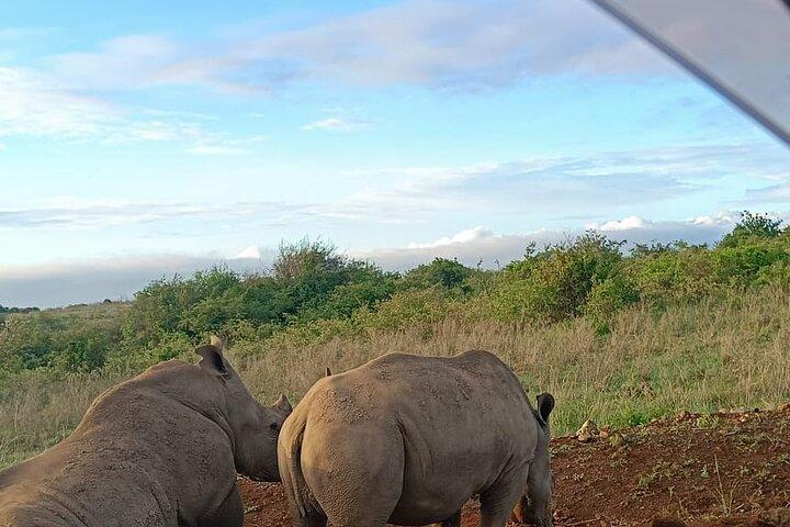 Nairobi-Nationalpark-Tour