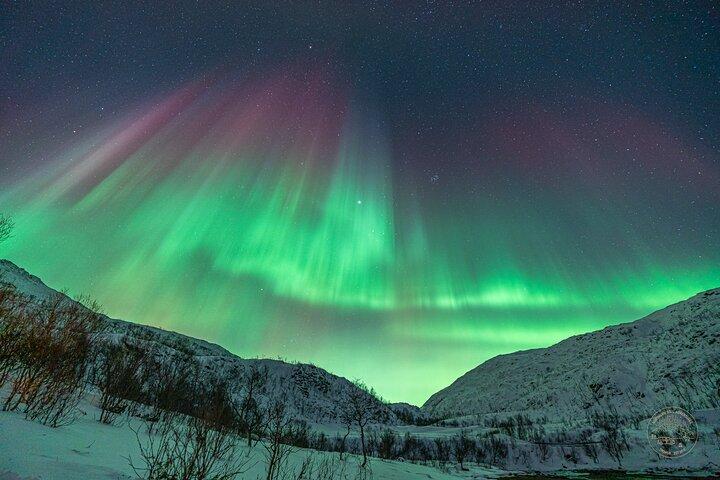 Privat norrskensjakt med fotografi från Tromsö
