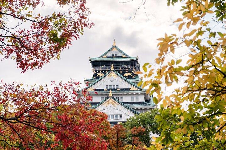 Osaka enthüllt: Eine selbstgeführte Reise durch Japans Küche