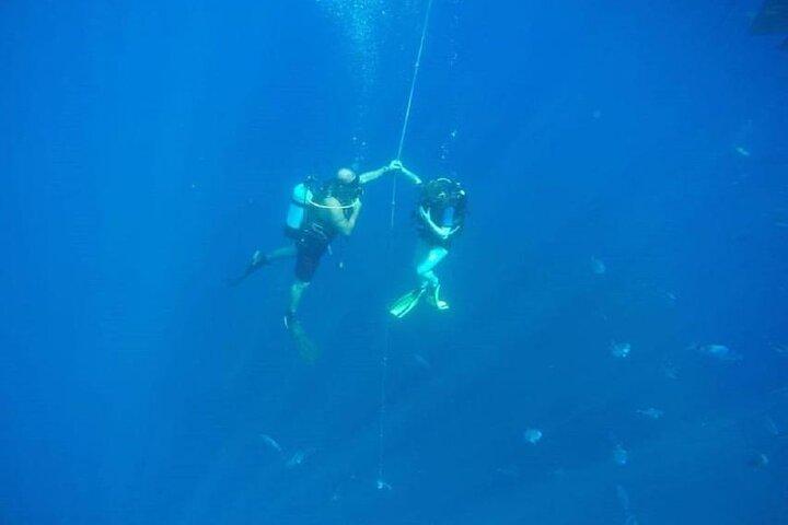 Larnaca Private Zenobia Beginners Divers