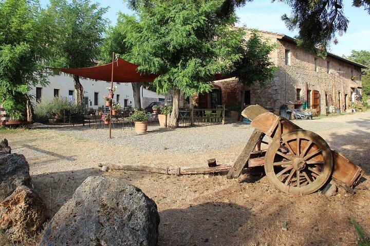 Escursione di un giorno ad Arezzo e Cortona per piccoli gruppi da Siena