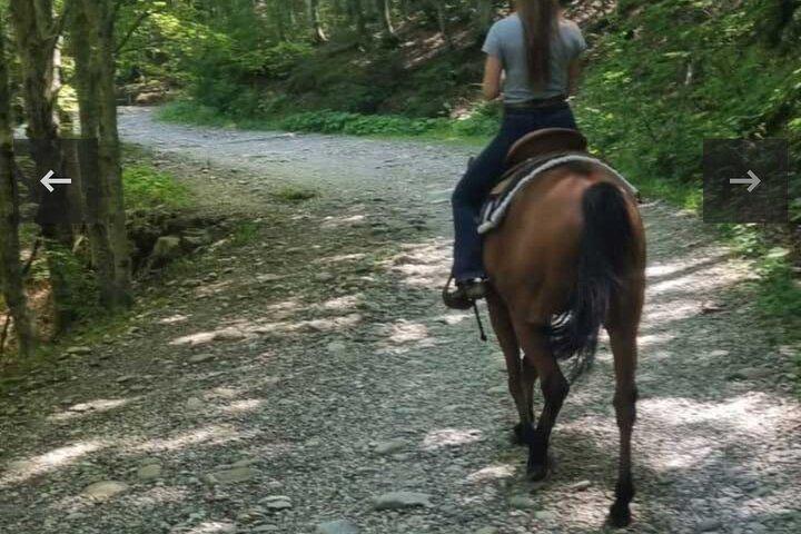Ridning på de toscanske bakker