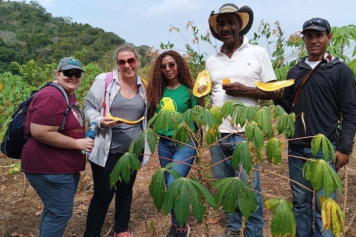UTV Thrills & Horseback Ride at Wildlife Paradise Near Cartagena