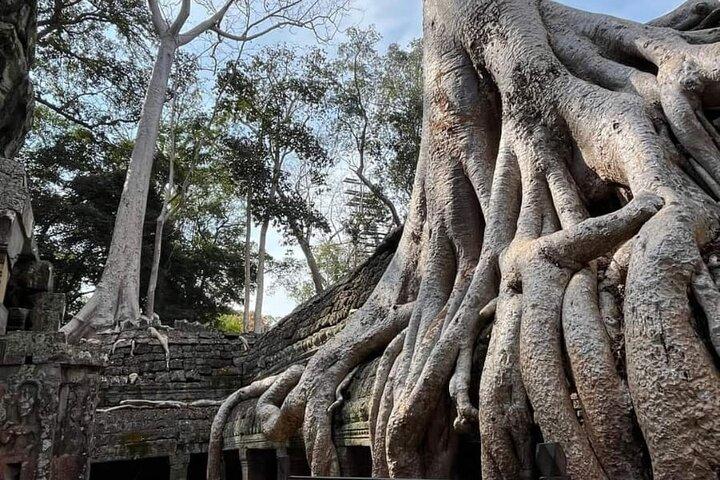 シェムリアップ寺院トゥクトゥクツアー： アンコールワットとその周辺を探索します。