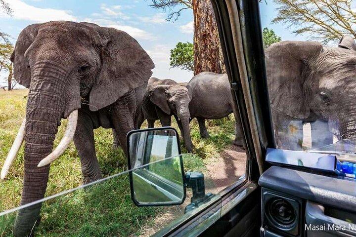 14 dage Kenya og Tanzania Big 5 Wildlife Safari fra Nairobi