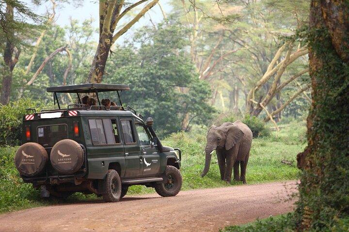 6 giorni Masai Mara Serengeti e Ngorongoro su Landcruiser 4x4